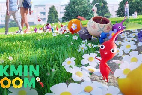 皮克敏 繡球花|【手遊】皮克敏 Pikmin Bloom 新手懶人包